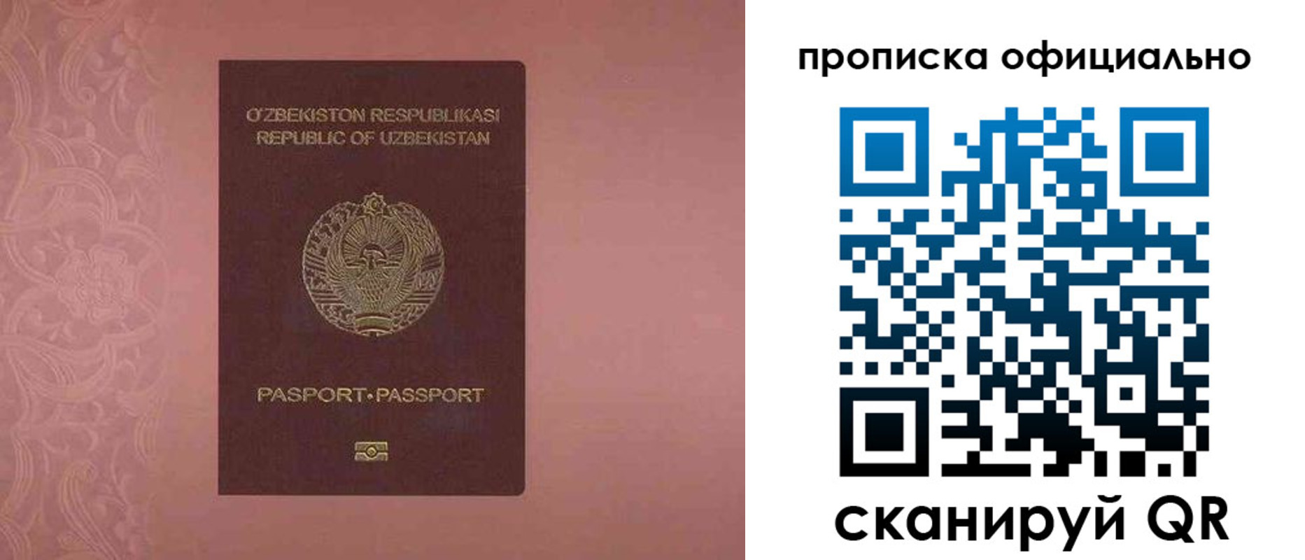 прописка гарантия в Баймаке